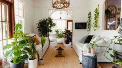 bellaBlog-Feng Shui