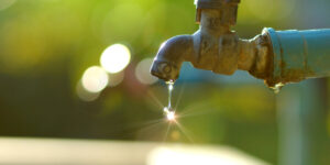 bellaBlog-Sustentabilidade-agua